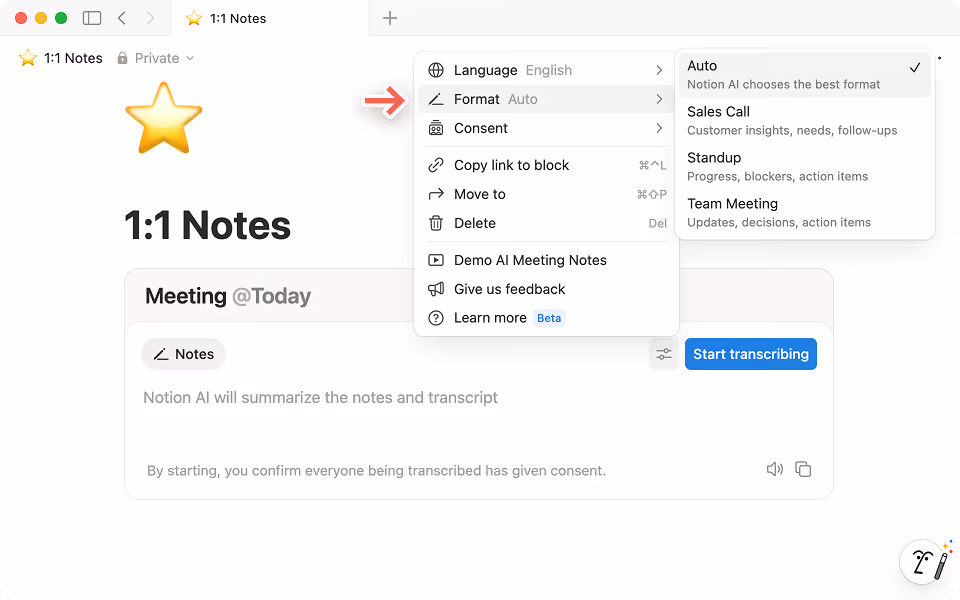 Choose the format option for your meeting so Notion AI can organize your conversation more effectively.